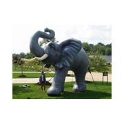 inflatable elephant model